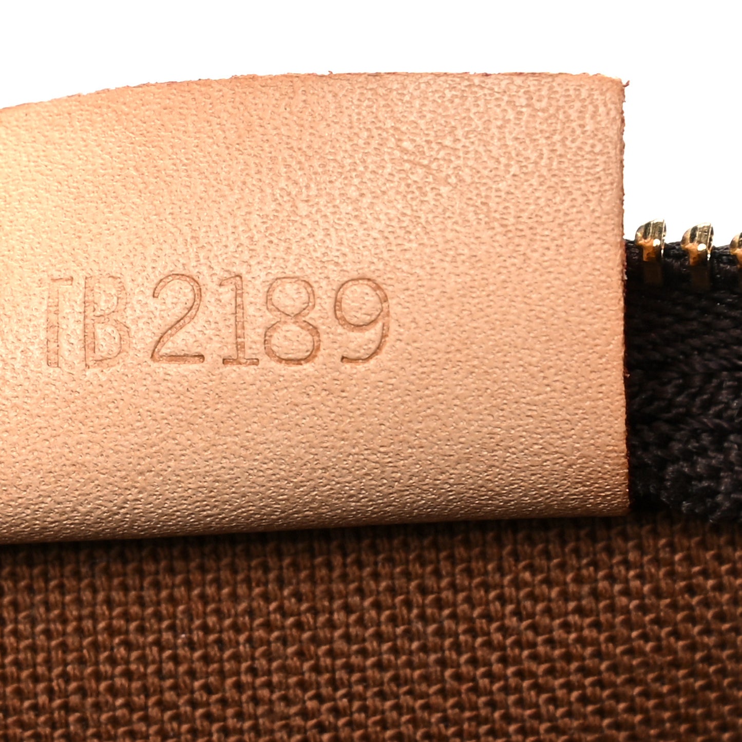 Monogram Nano Speedy