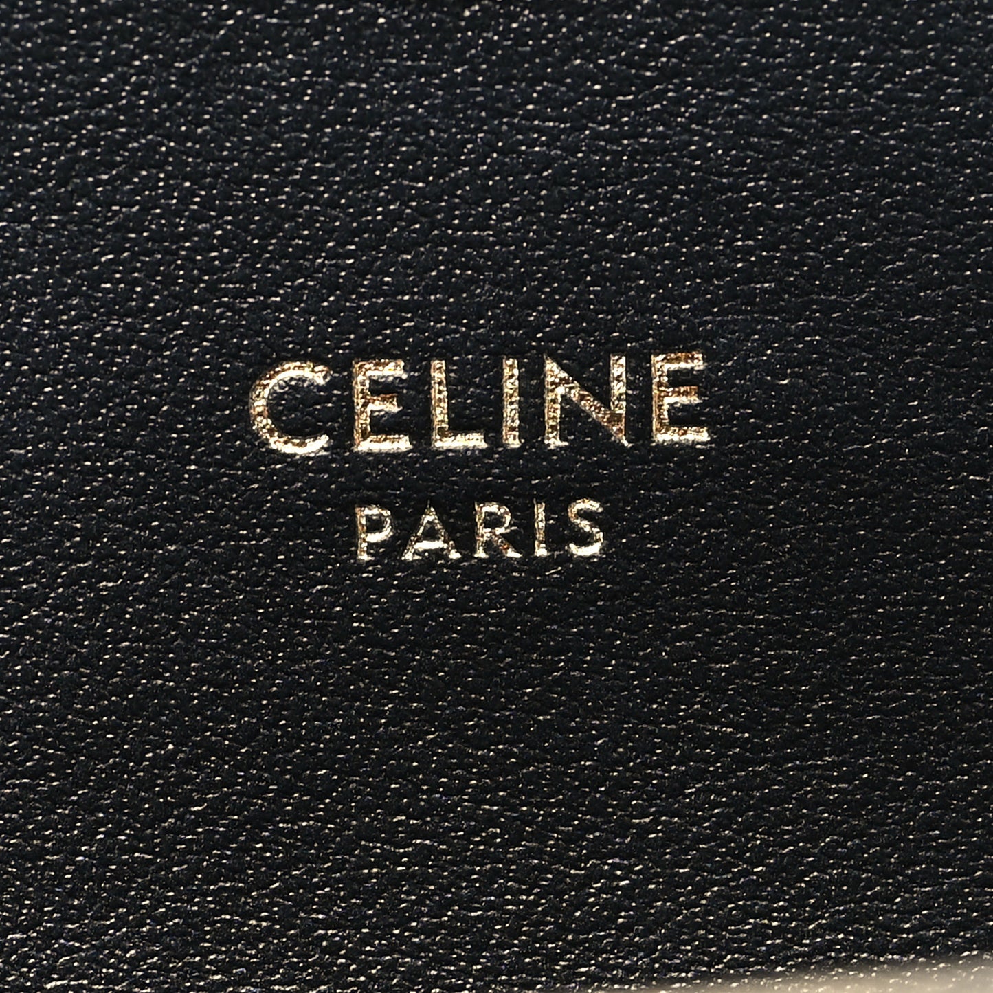 Shiny Calfskin Mini Triomphe Black