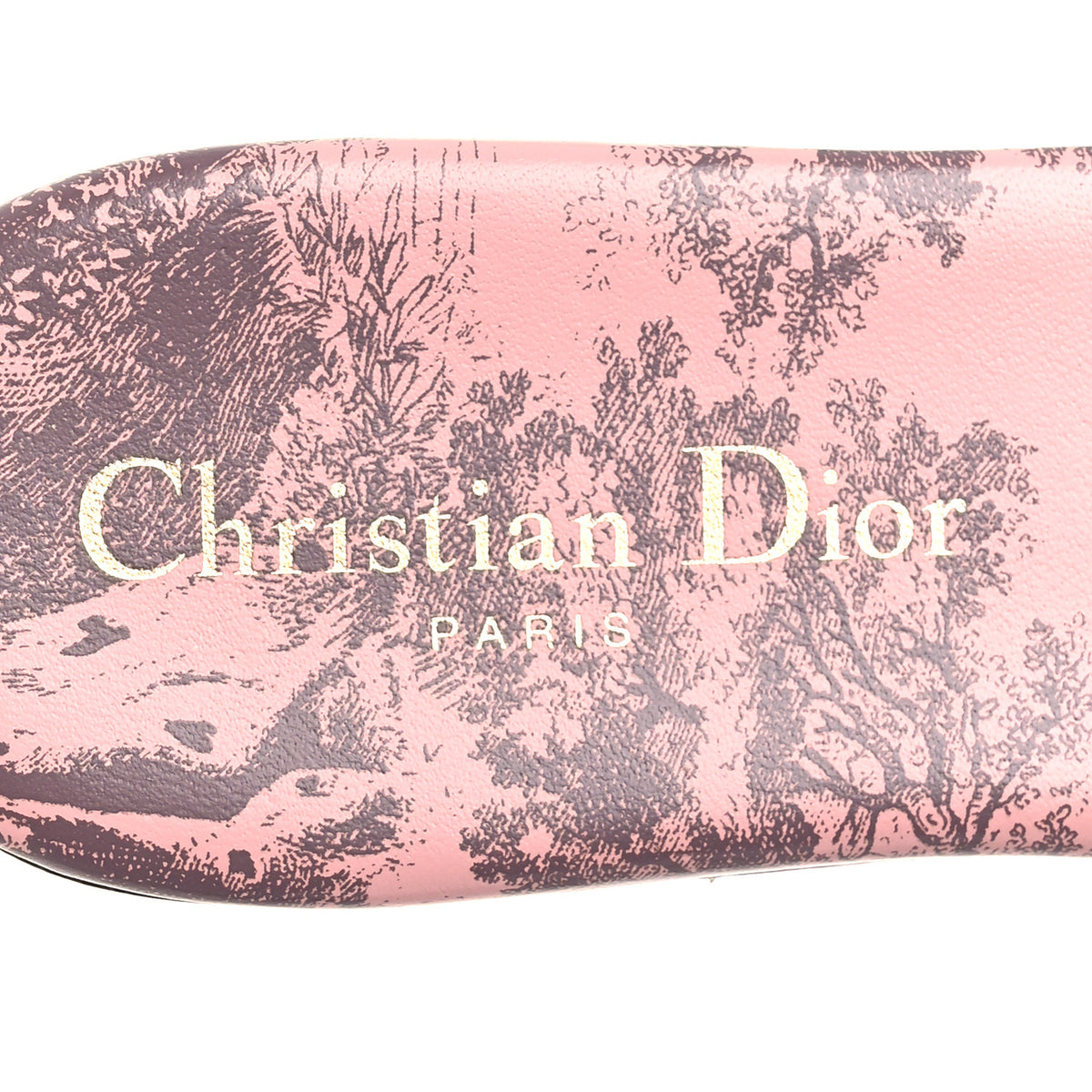 Christian Dior Canvas Toile De Jouy Embroidered Dway Flat Slide Sandals 36 Chateau Rose 7 of 10