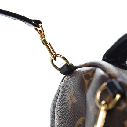 Louis Vuitton Monogram Palm Springs Backpack Mini 7 of 7