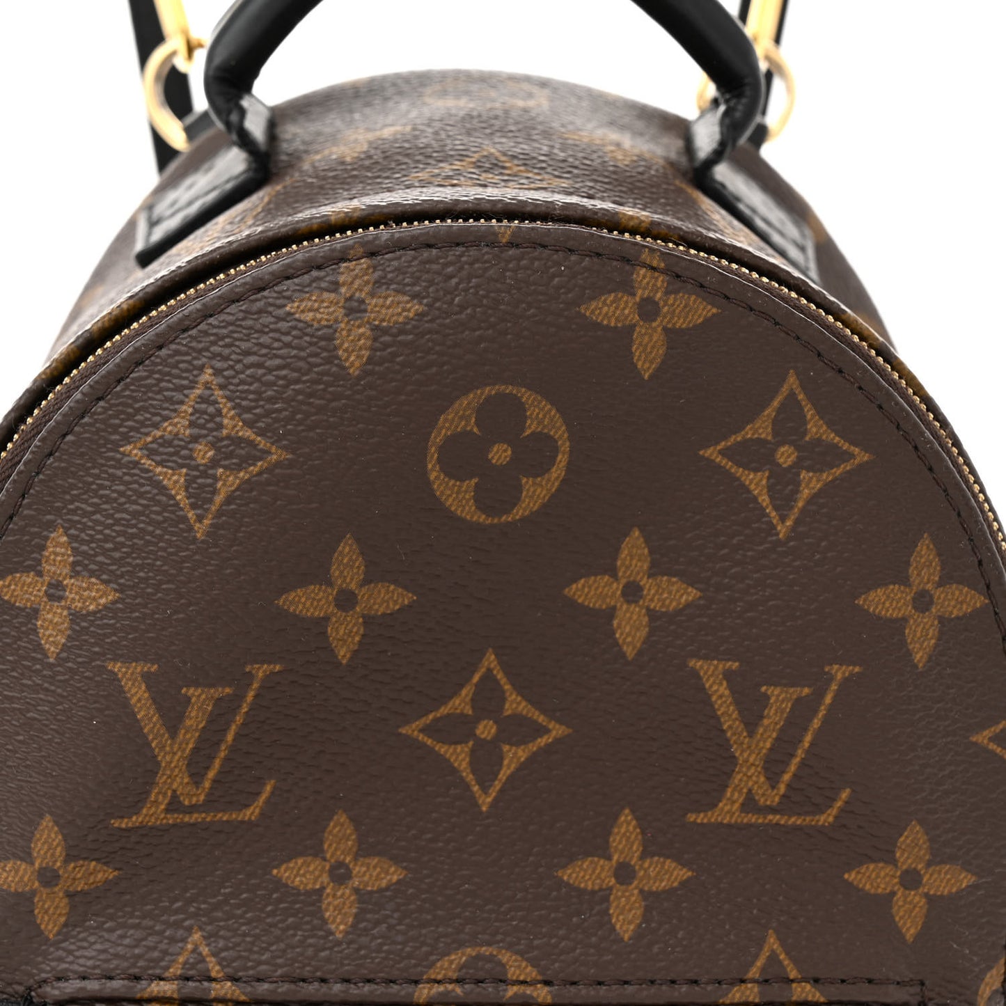Monogram Palm Springs Backpack Mini