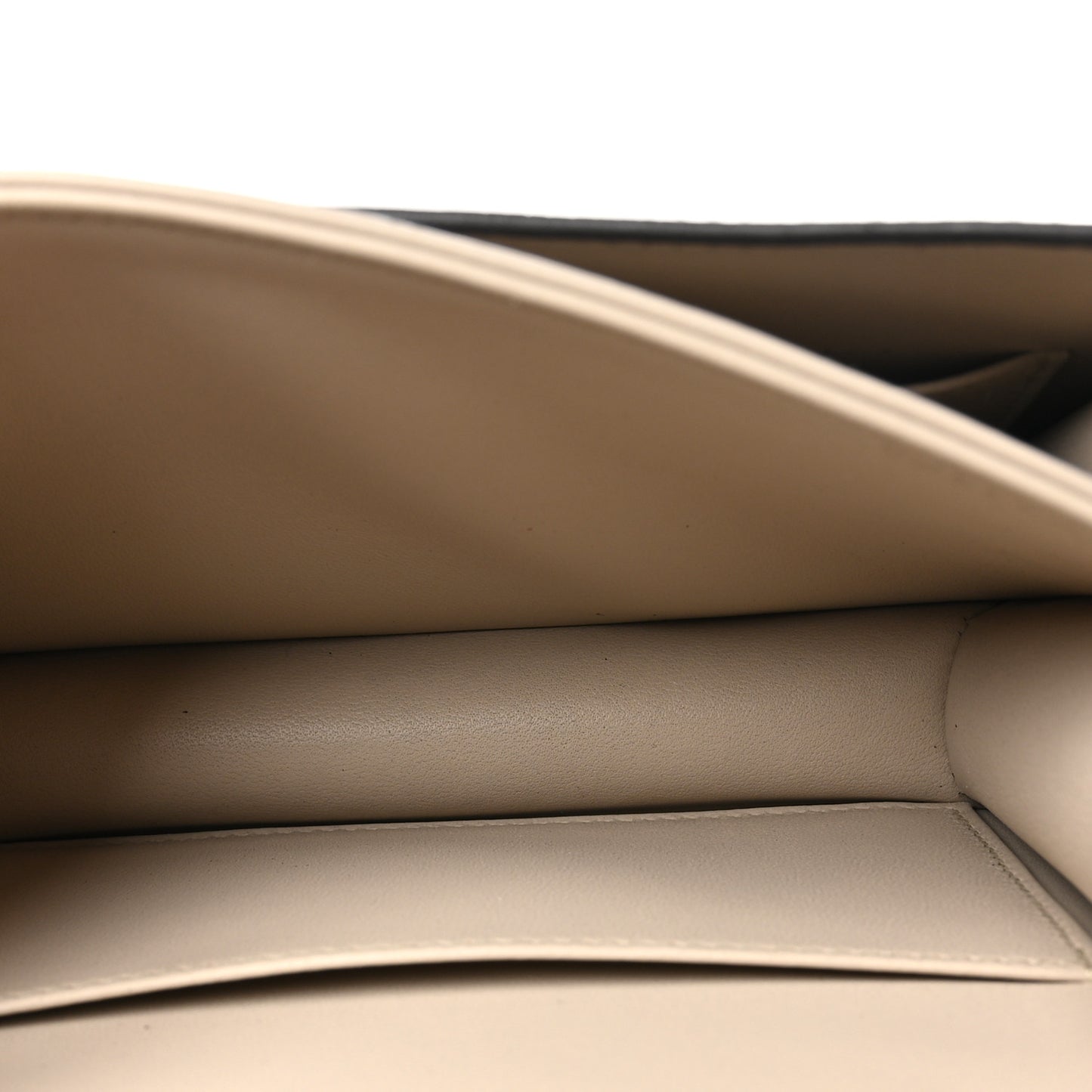 Lizard Constance 18 Ombre