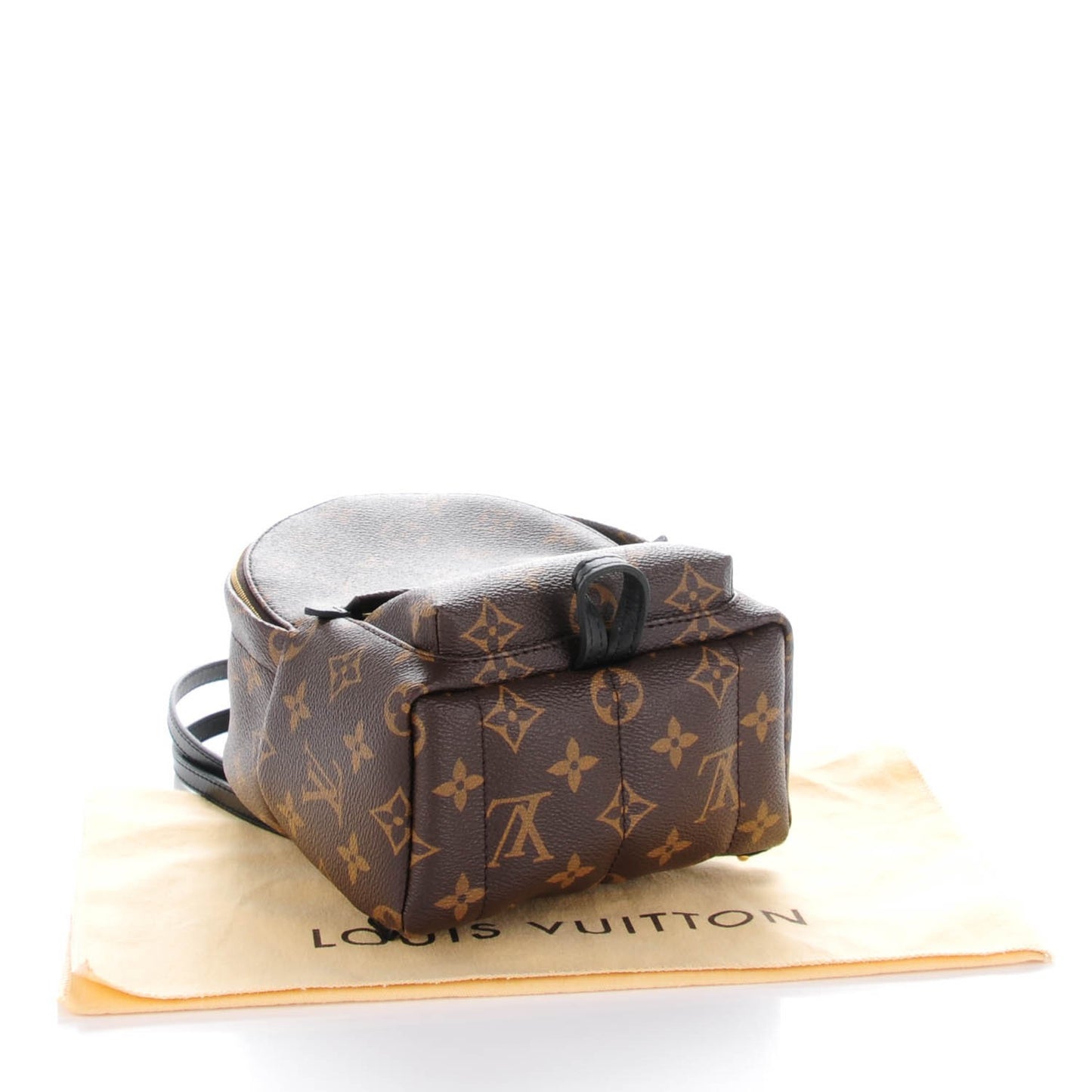 Monogram Palm Springs Backpack Mini