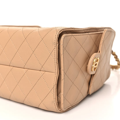 Chanel Caviar Quilted Small Chanel 25 Handbag Dark Beige 10 of 10
