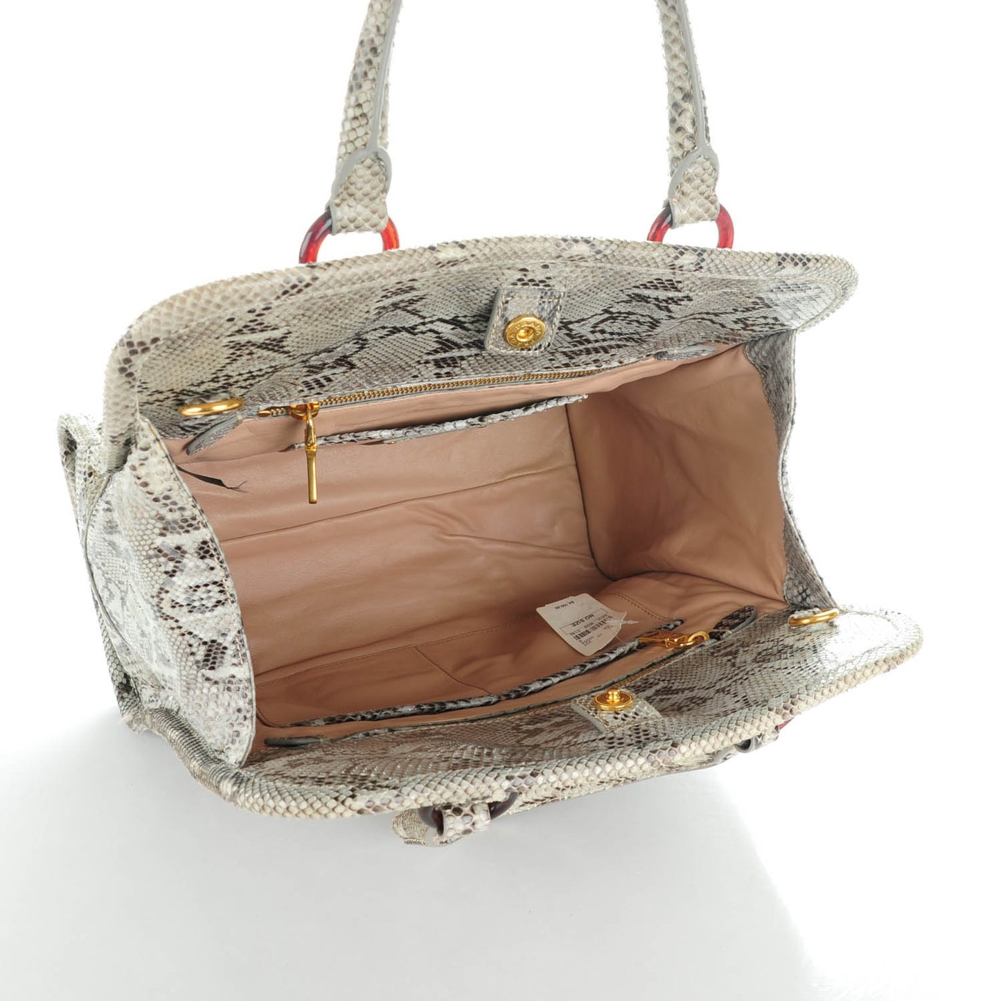 Shiny Python Tote Astro