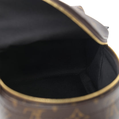 Louis Vuitton Monogram Palm Springs Backpack Mini 5 of 10