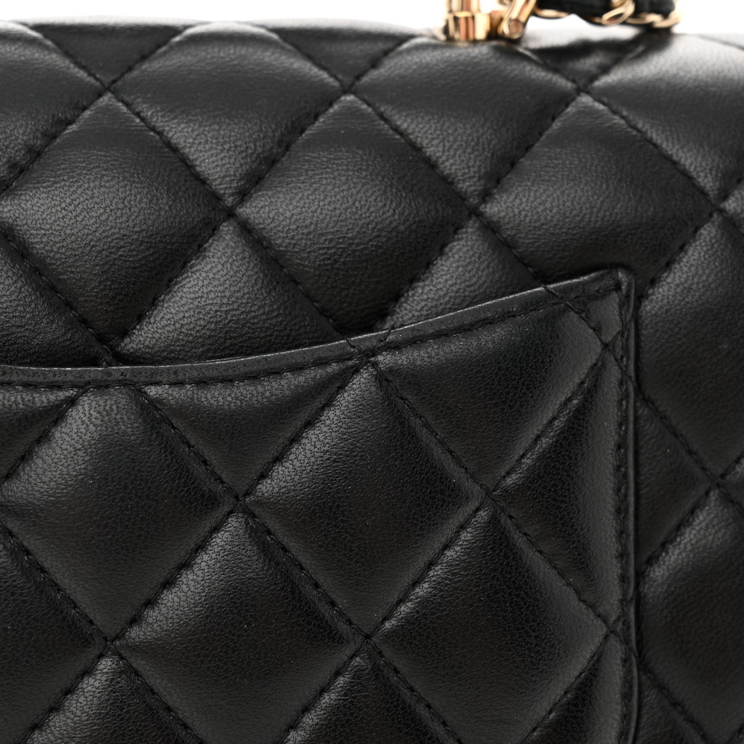 Chanel Lambskin Quilted Mini Lion Charm Top Handle Rectangular Flap Black 16 of 17