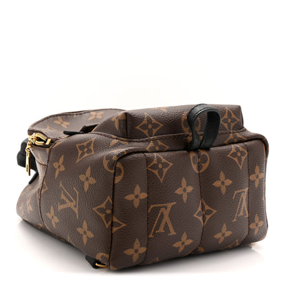 Louis Vuitton Monogram Palm Springs Backpack Mini 4 of 10