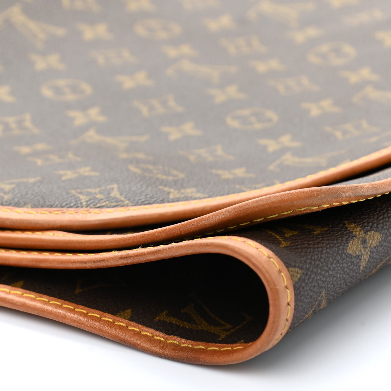 Louis Vuitton Monogram Garment Cover 10 of 14