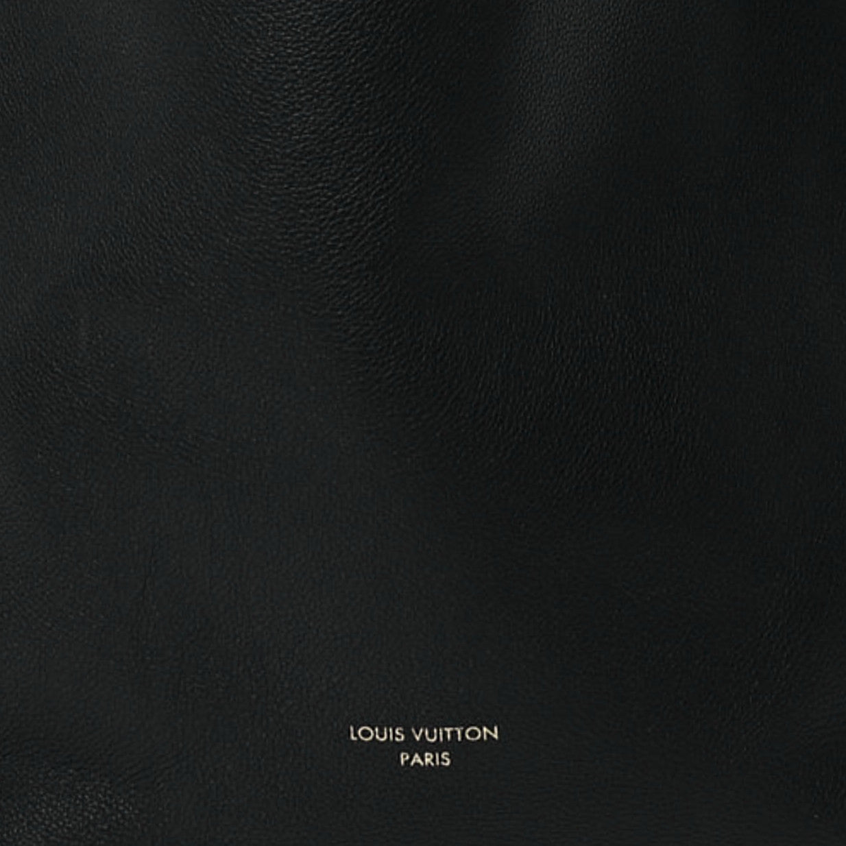 Grained Calfskin Low Key Hobo MM Black