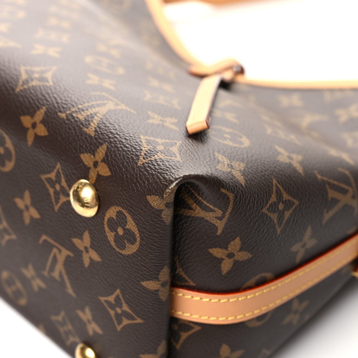 Monogram CarryAll PM