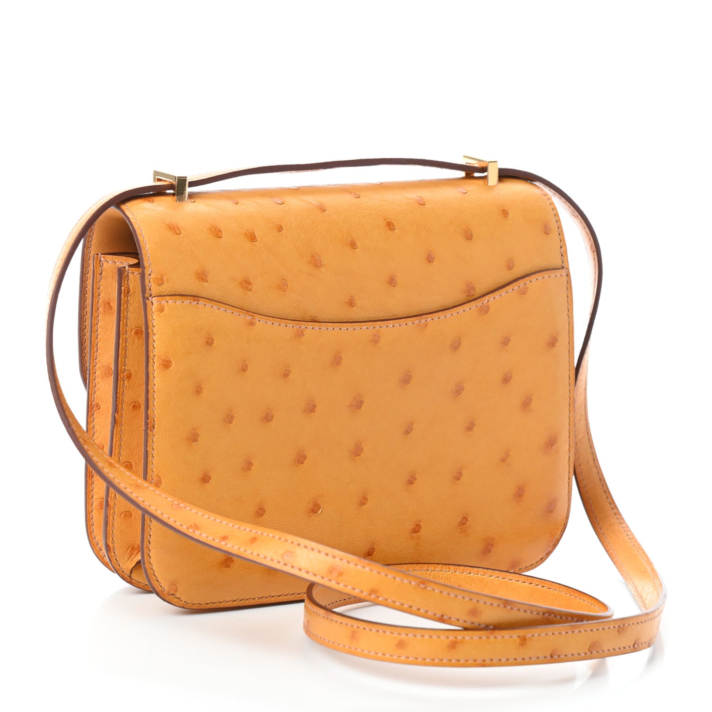 Ostrich Constance 18 Safran