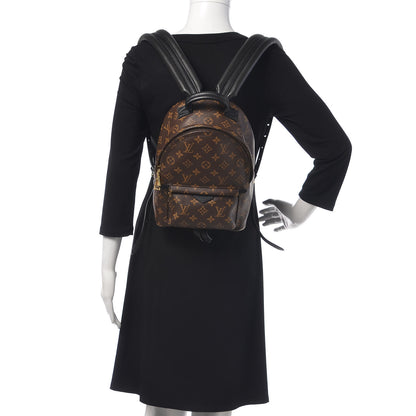 Louis Vuitton Monogram Palm Springs Backpack PM 2 of 9