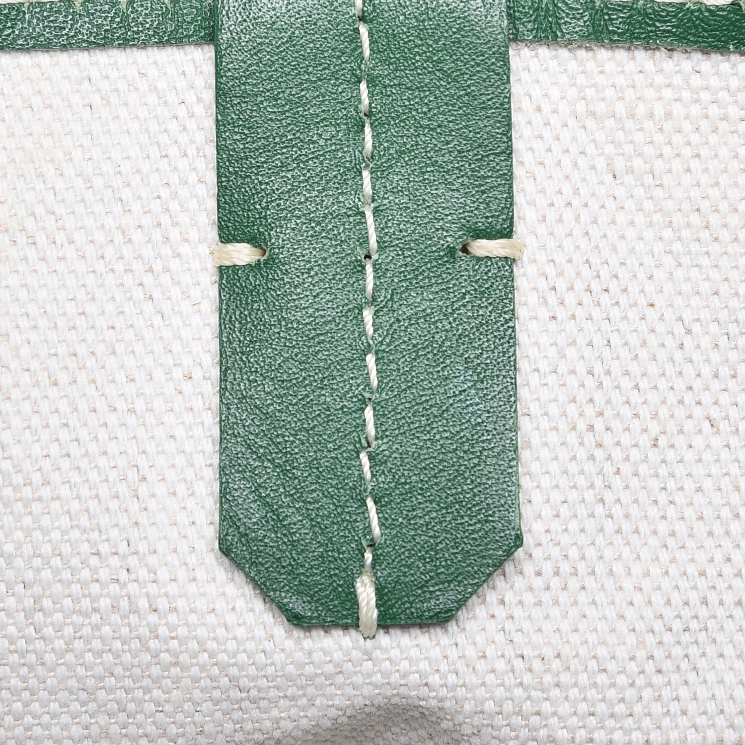 Goyard Goyardine Saint Louis PM Green 11 of 16