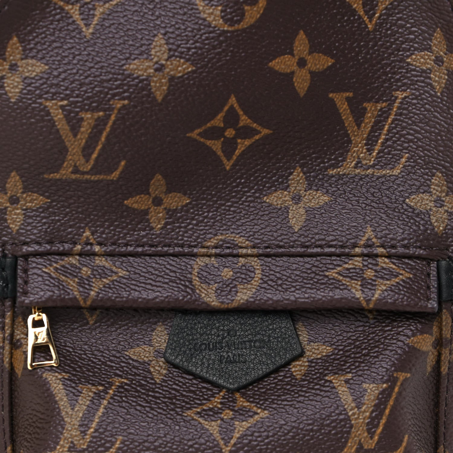 Louis Vuitton Monogram Palm Springs Backpack Mini 7 of 12