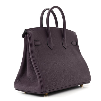 Hermes Togo Birkin 25 Cassis 3 of 10