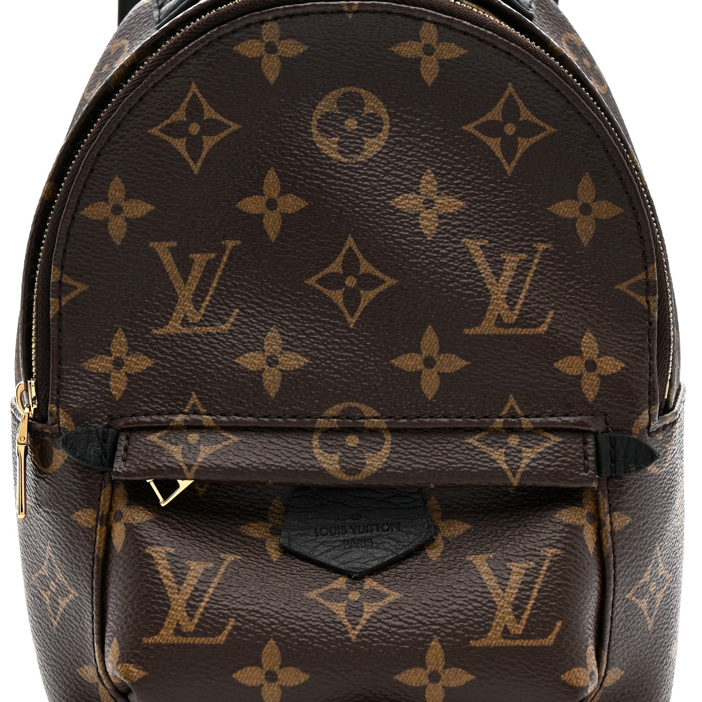 Monogram Palm Springs Backpack Mini