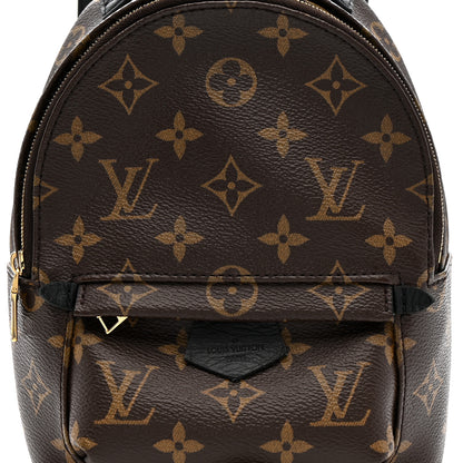 Louis Vuitton Monogram Palm Springs Backpack Mini 7 of 12