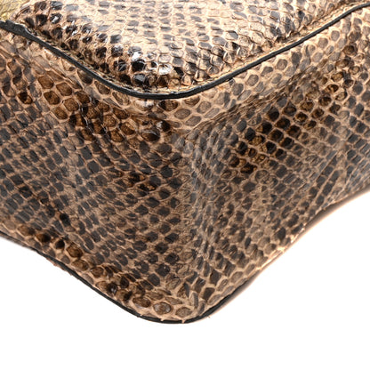 Chloe Snakeskin Jumbo Elsie Chain Shoulder Bag Brown Green 9 of 9