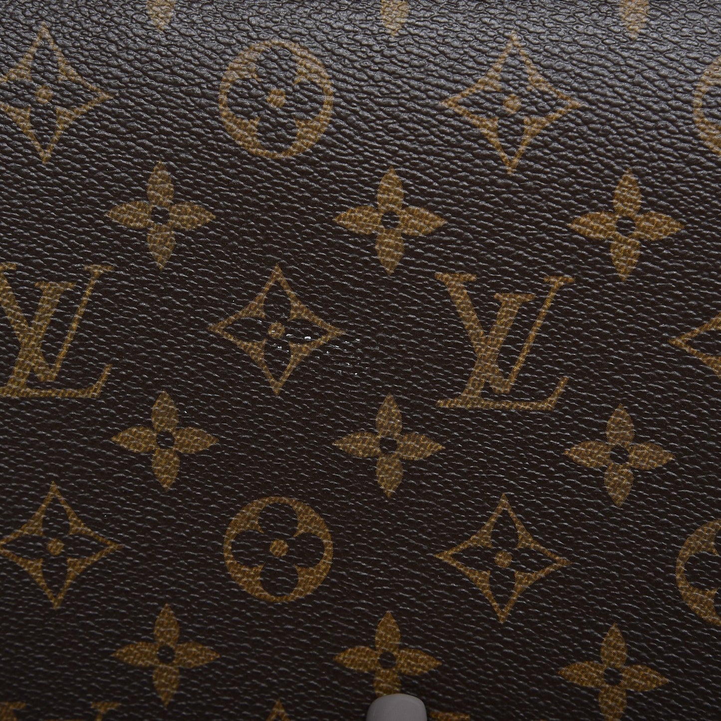 Monogram Pegase 55 Business