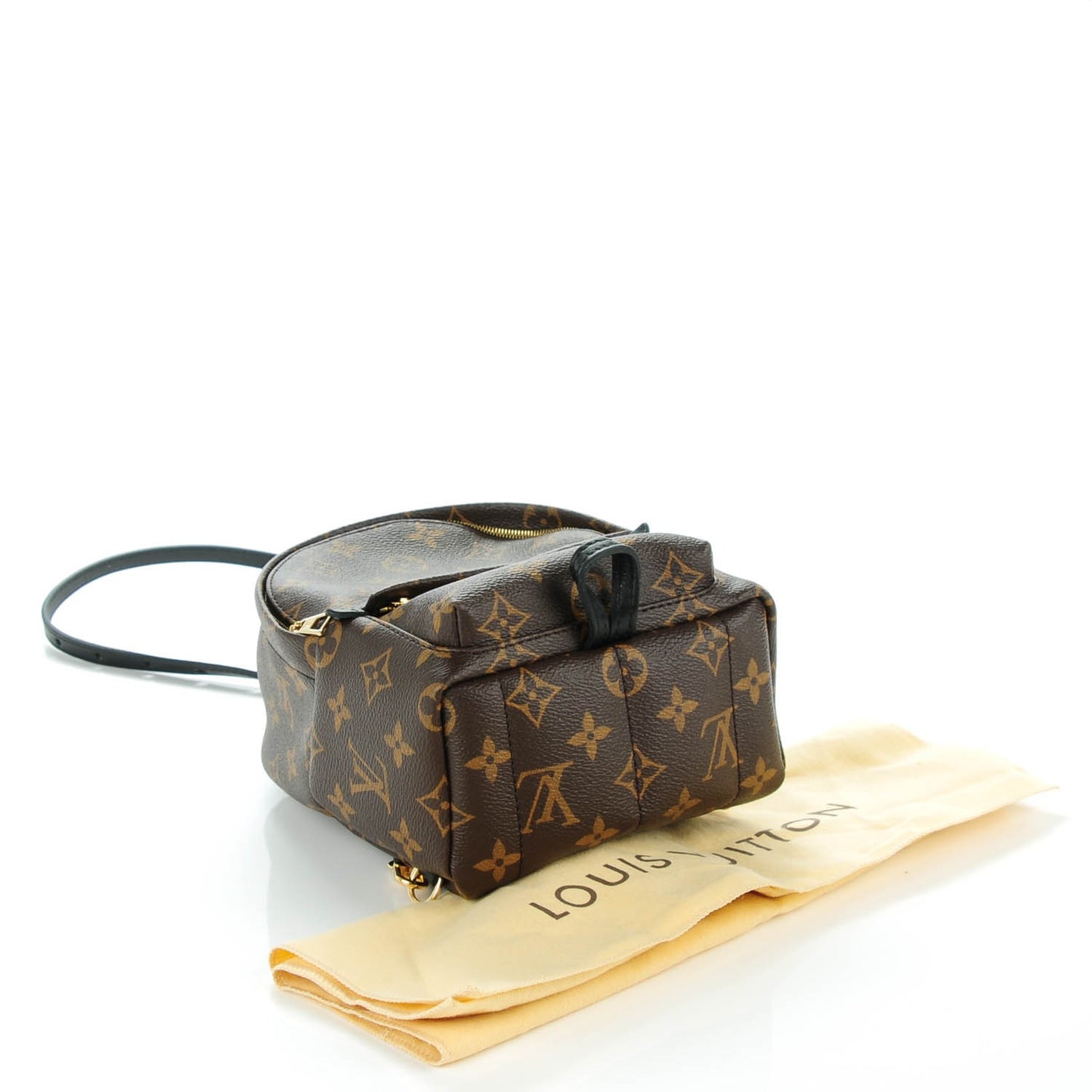 Monogram Palm Springs Backpack Mini