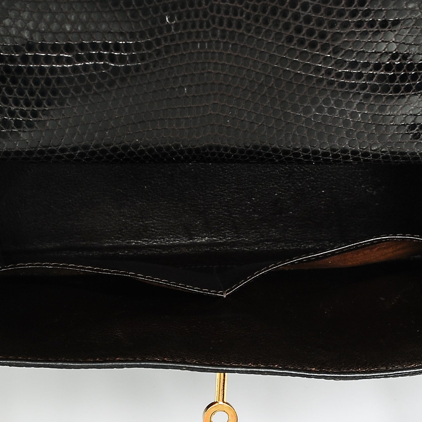 Shiny Lizard Kelly 28 Havane