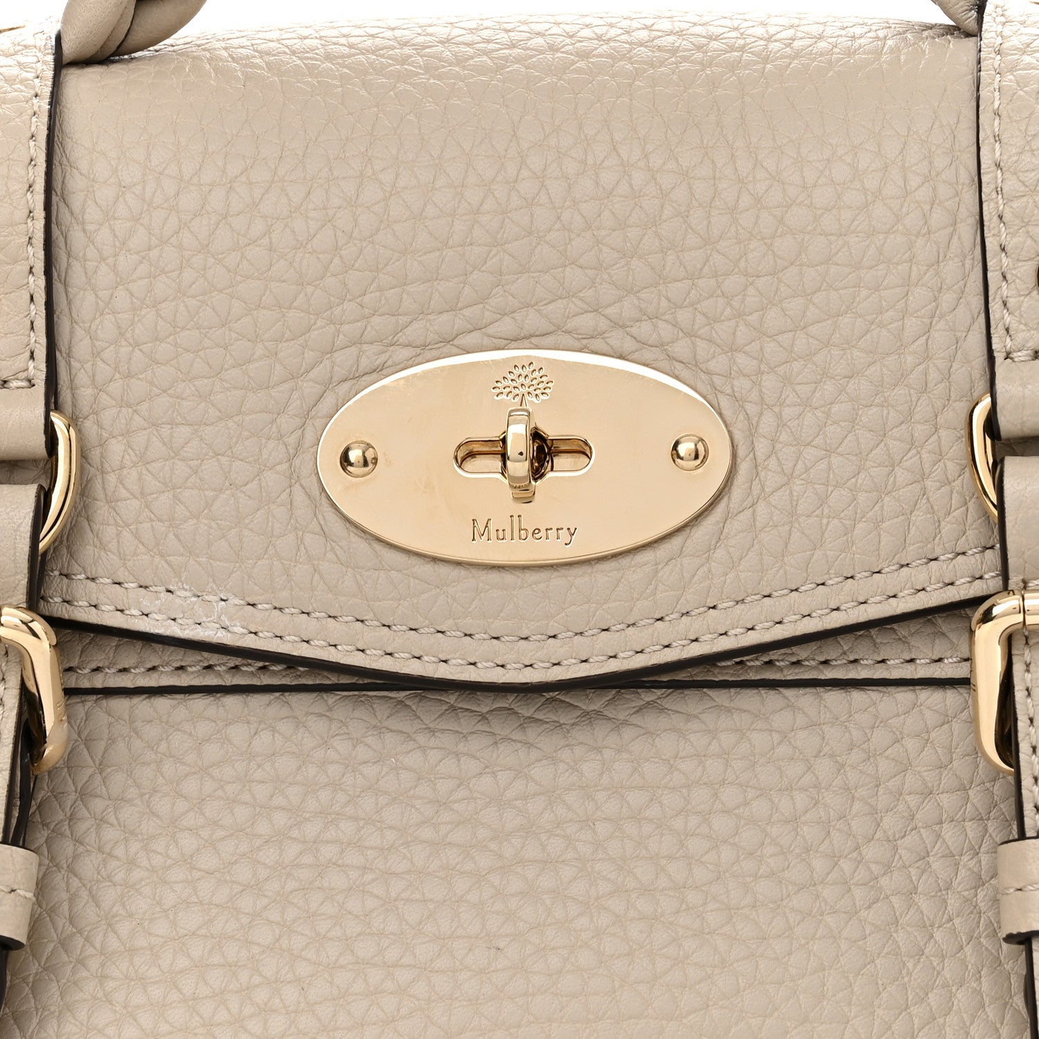 Mulberry Heavy Grain Mini Alexa Chalk 7 of 9