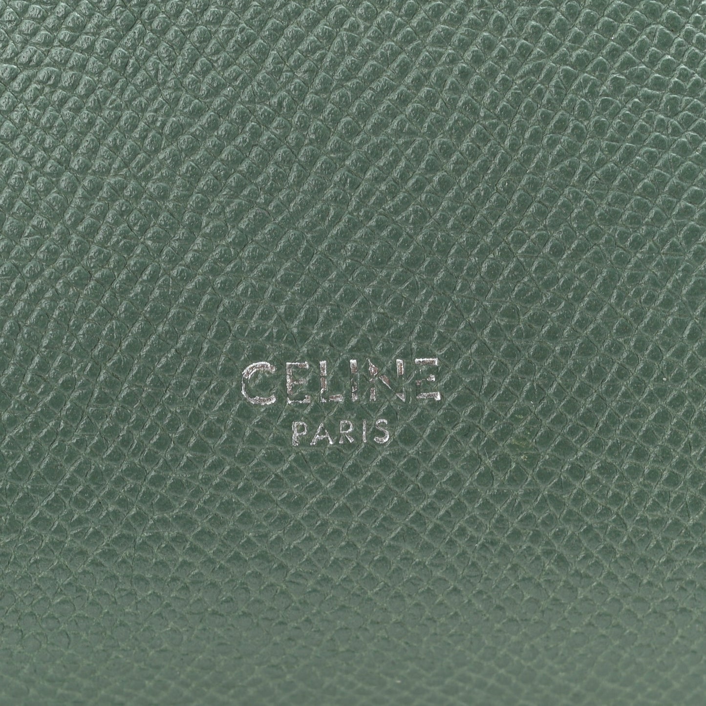 Grained Calfskin Micro Belt Bag Celadon