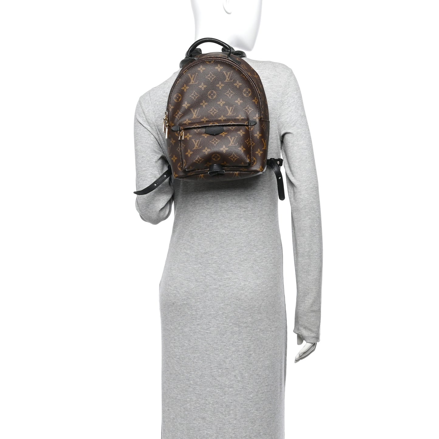 Monogram Palm Springs Backpack PM