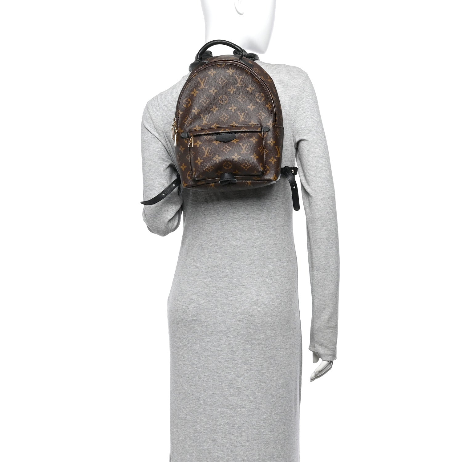 Louis Vuitton Monogram Palm Springs Backpack PM 2 of 11