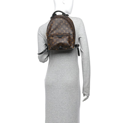 Louis Vuitton Monogram Palm Springs Backpack PM 2 of 11