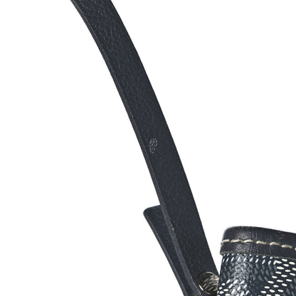 Goyard Goyardine Saint Louis PM Grey 11 of 12