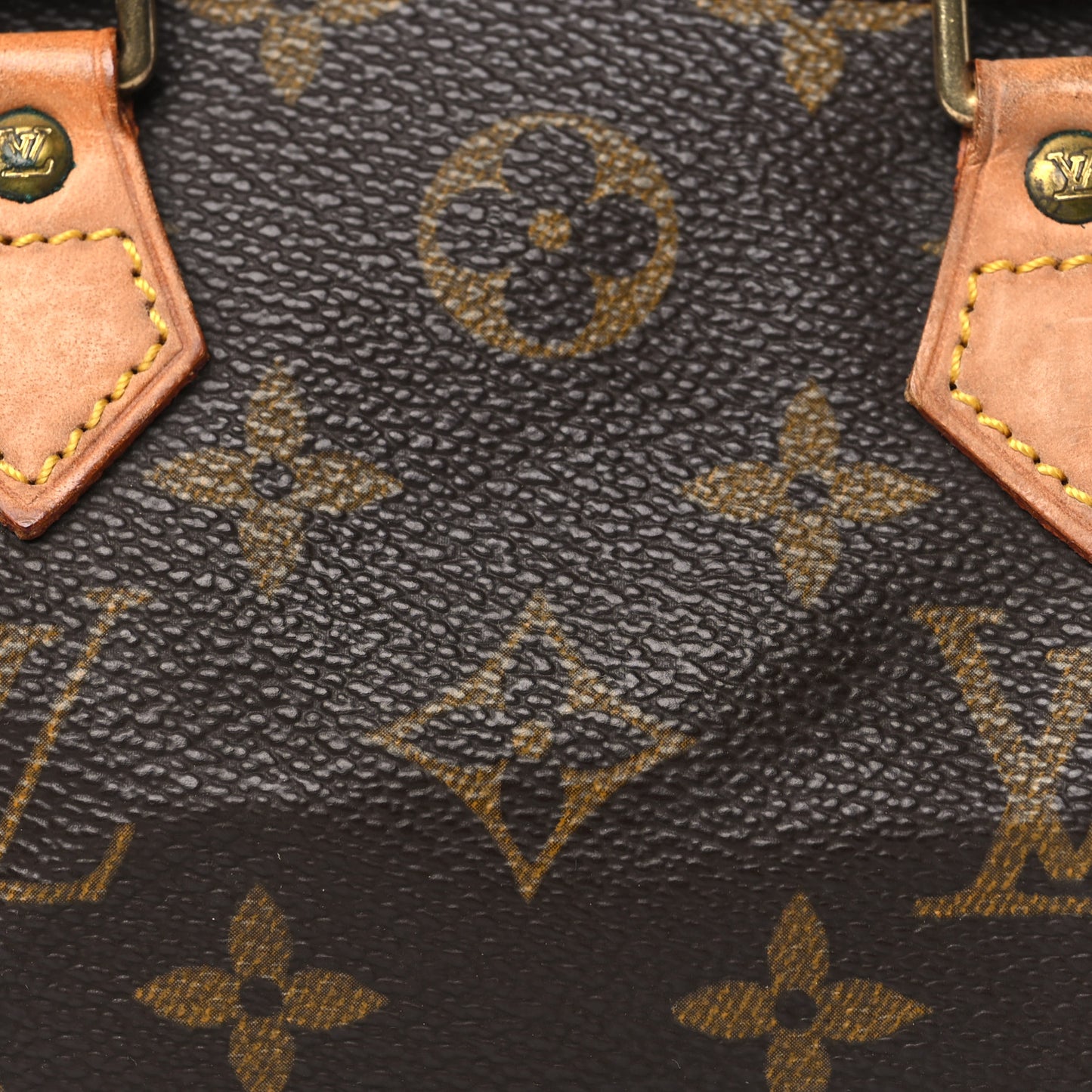 Monogram Mini Sac HL Speedy