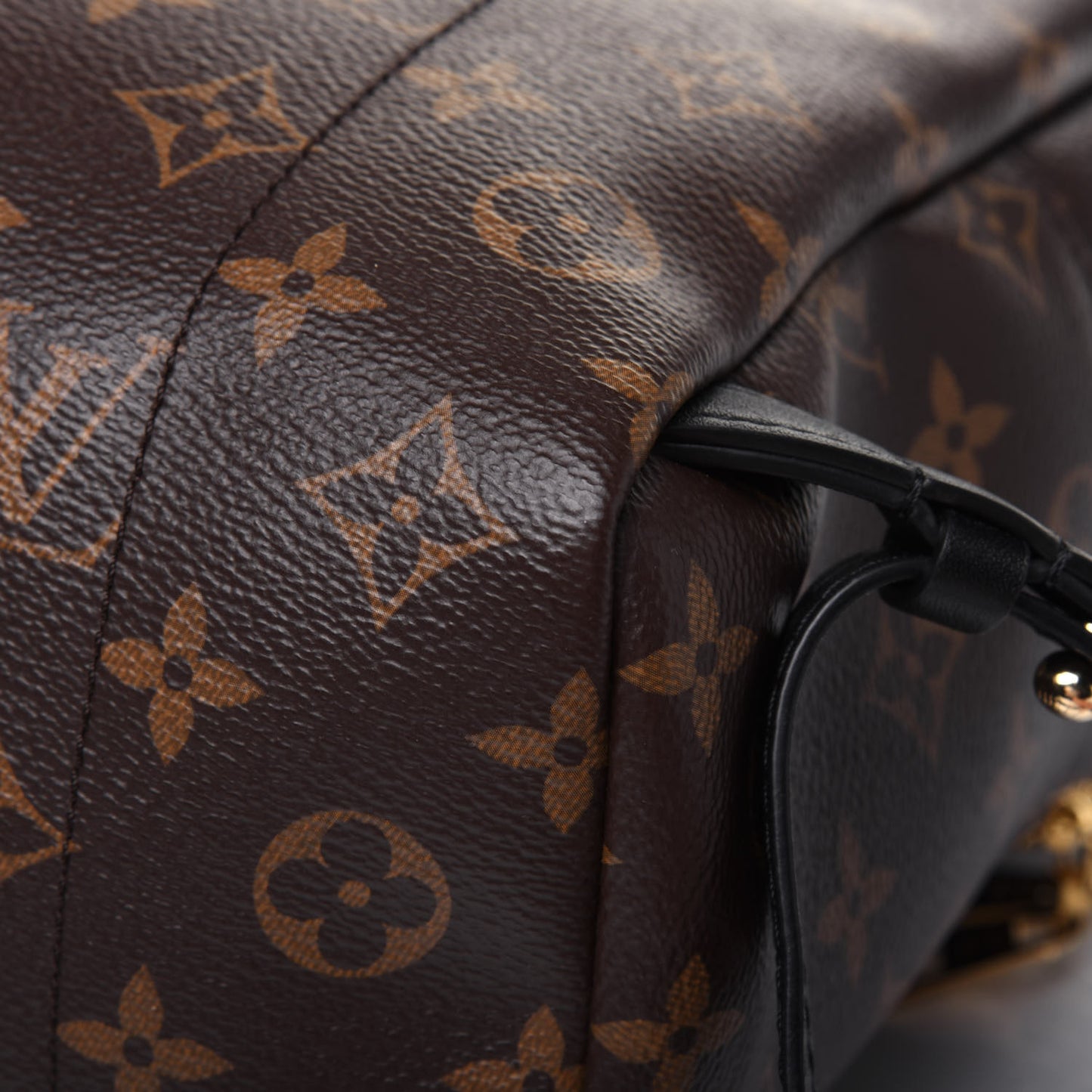 Reverse Monogram Palm Springs Backpack PM