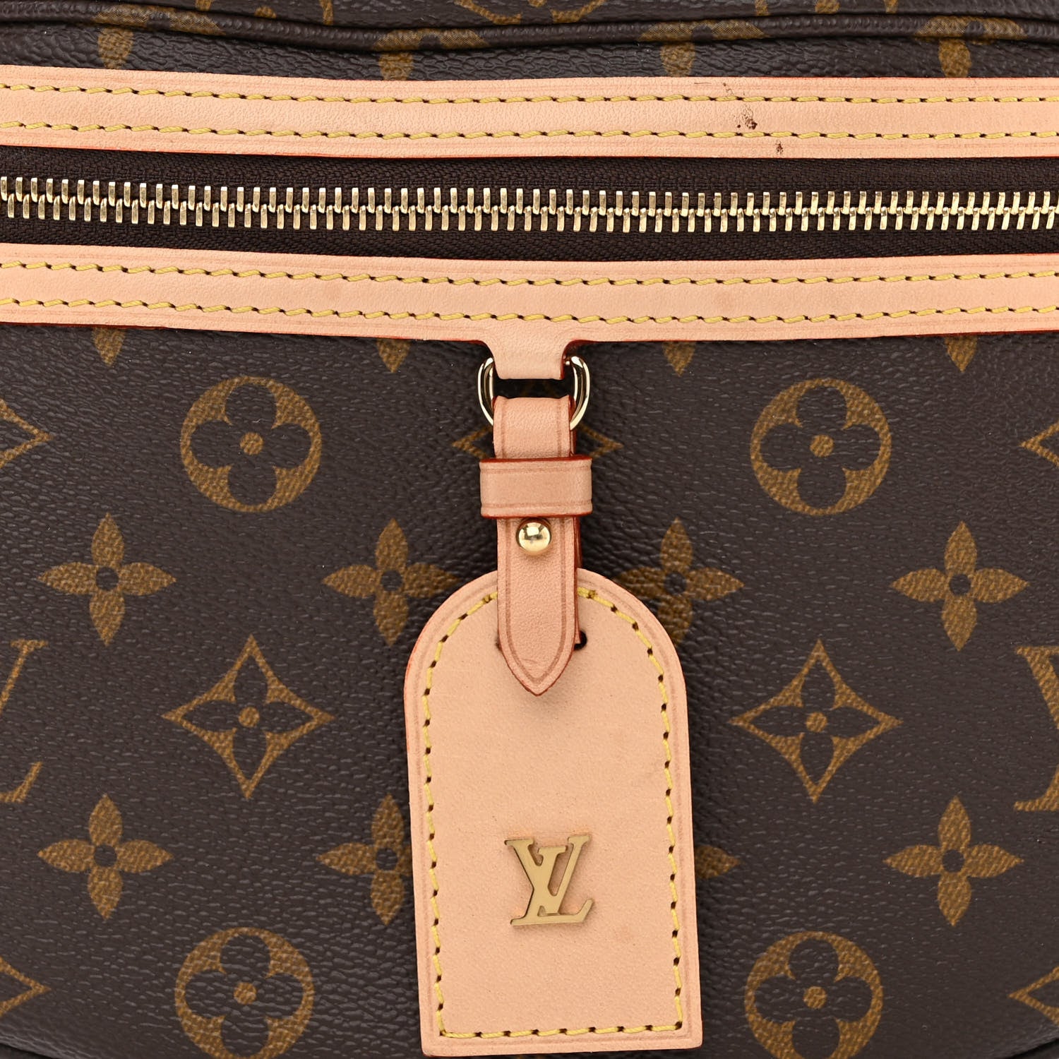 Louis Vuitton Monogram High Rise Bumbag 7 of 10