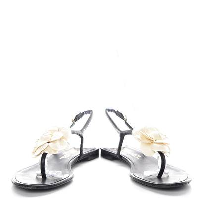 Chanel Lambskin Camellia Thong Sandals 36 Black White 5 of 16