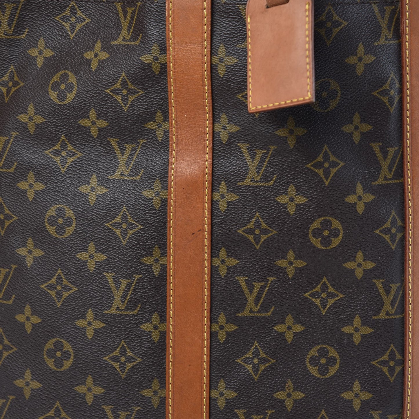 Monogram Randonnee GM Backpack