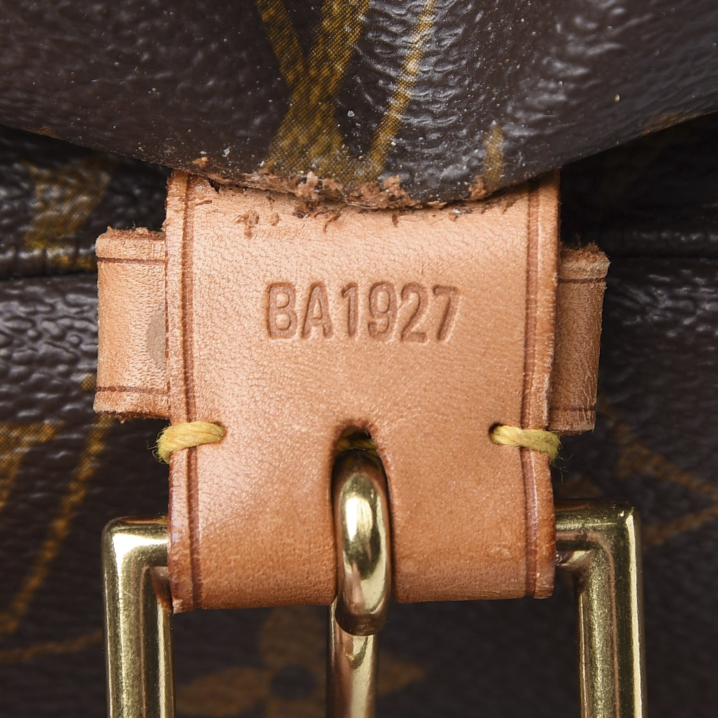 Monogram Montsouris GM Backpack