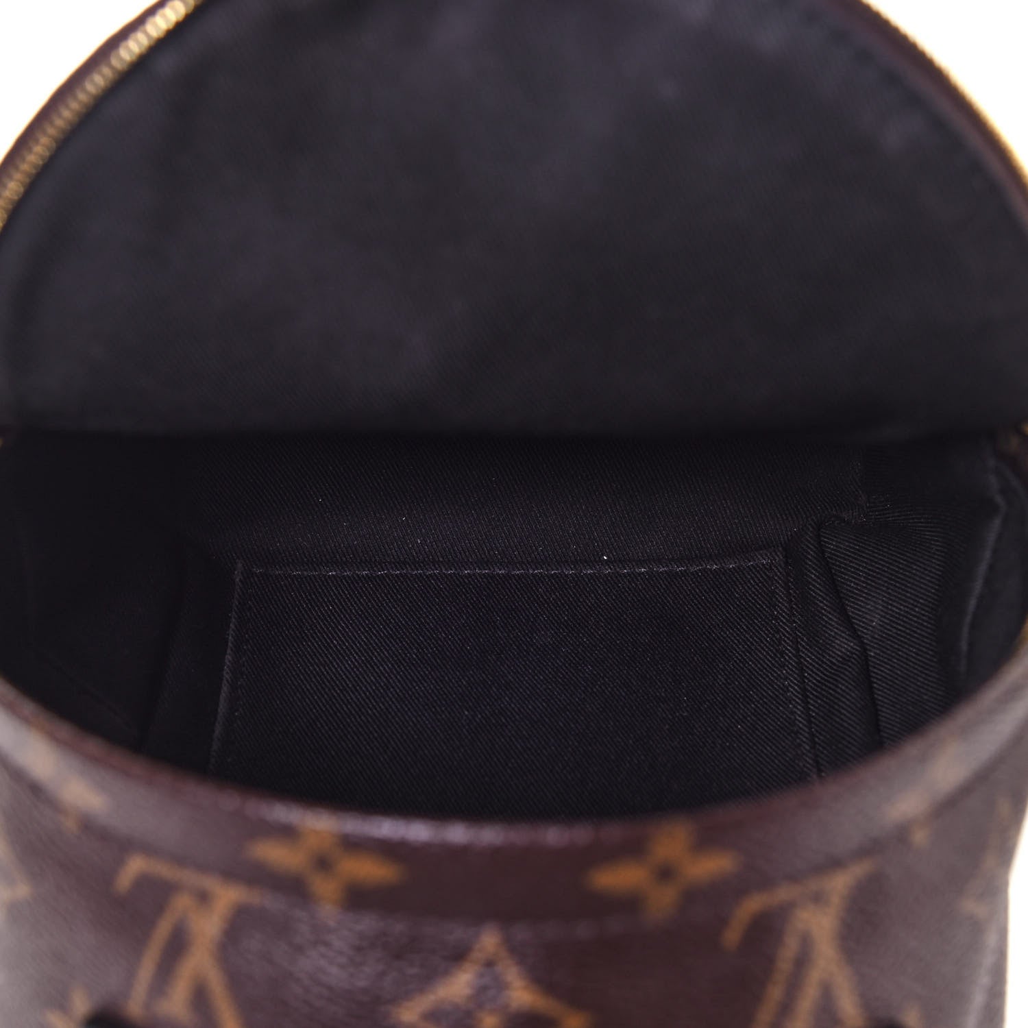 Louis Vuitton Monogram Palm Springs Backpack Mini 5 of 13