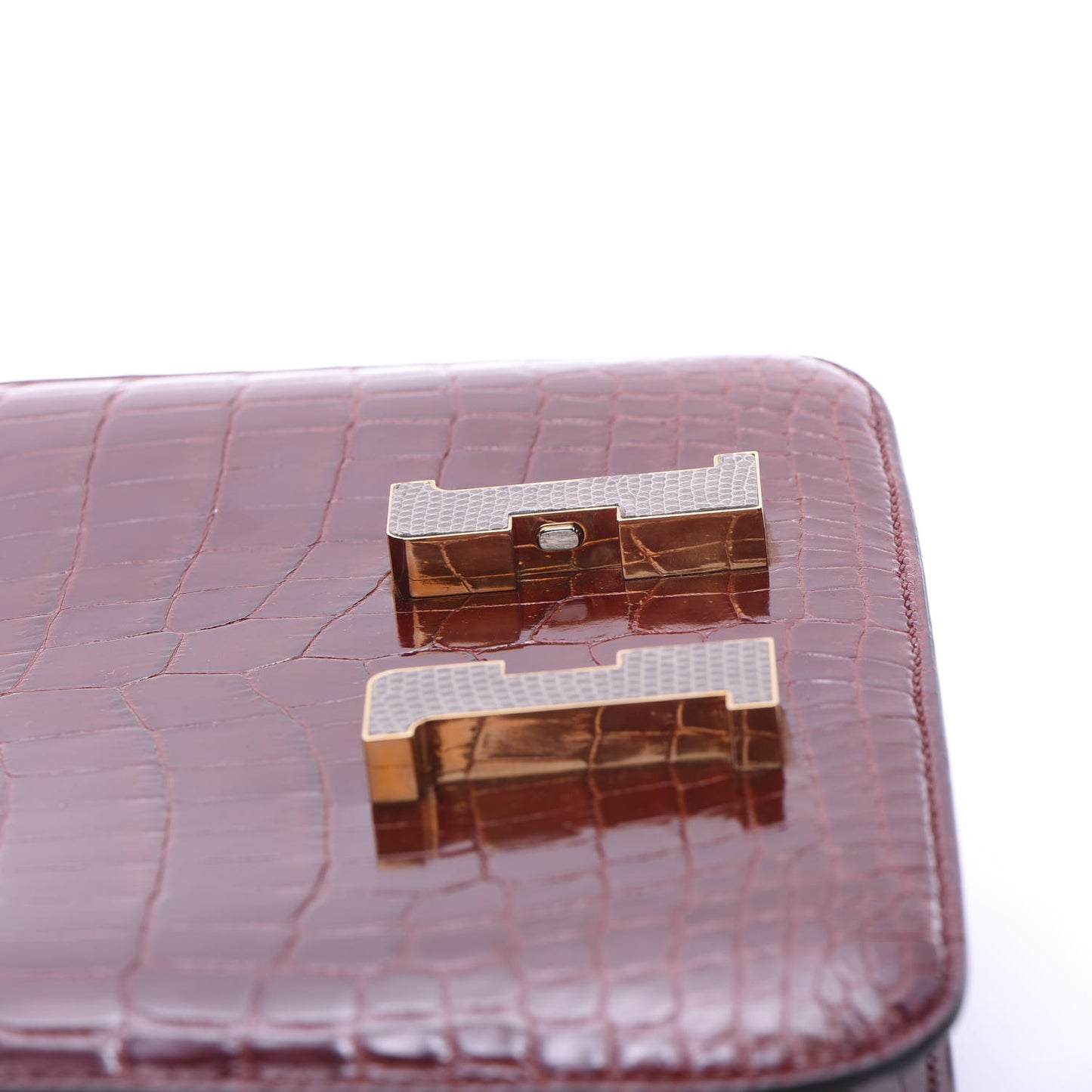 Shiny Niloticus Crocodile Lizard Marquette Constance 24 Rouge H
