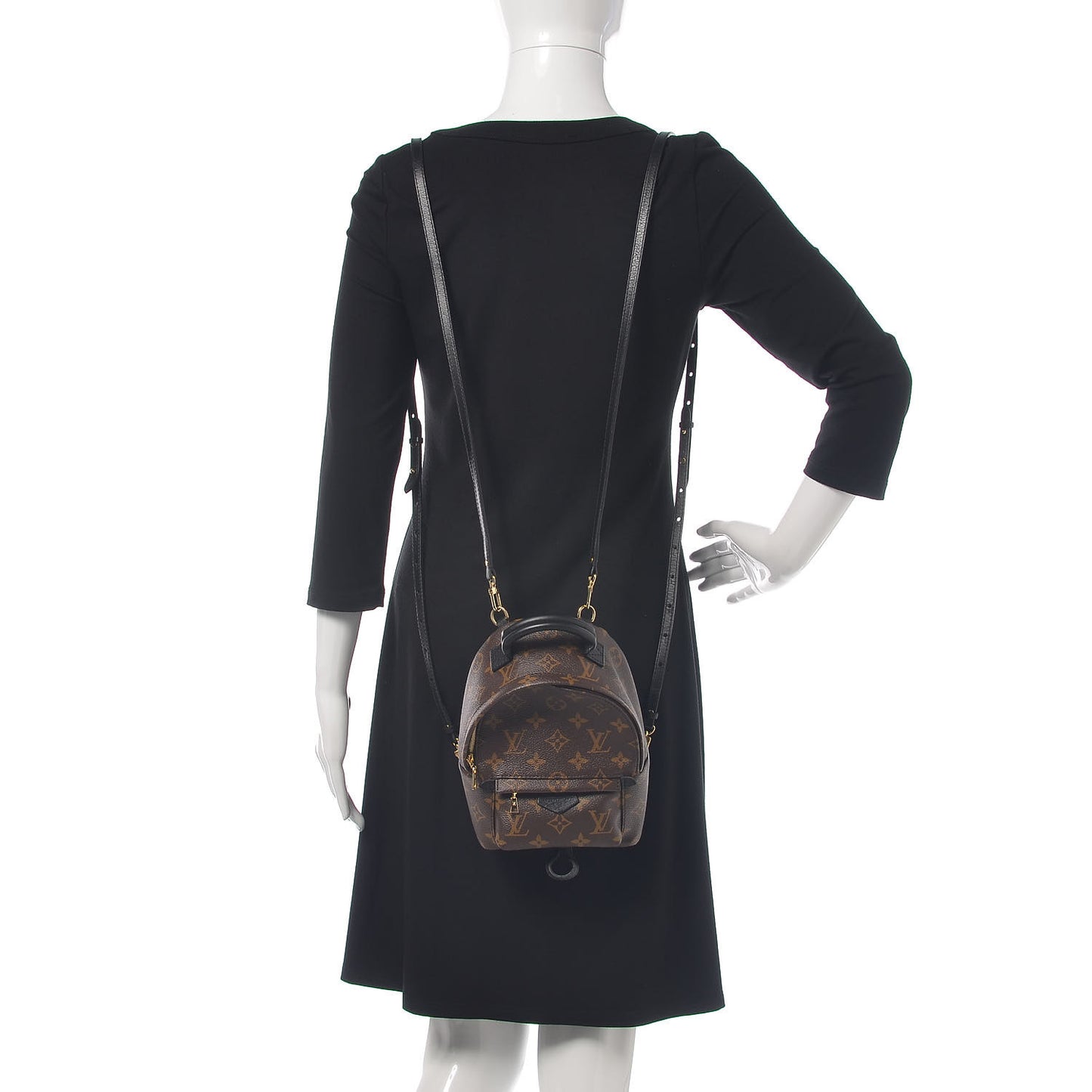 Monogram Palm Springs Backpack Mini