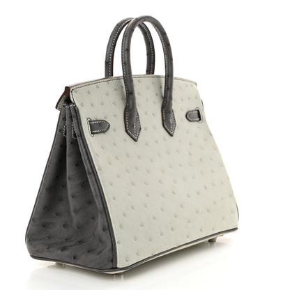 Hermes Ostrich Horseshoe Birkin 25 Gris Perle Gris Meyer 3 of 12