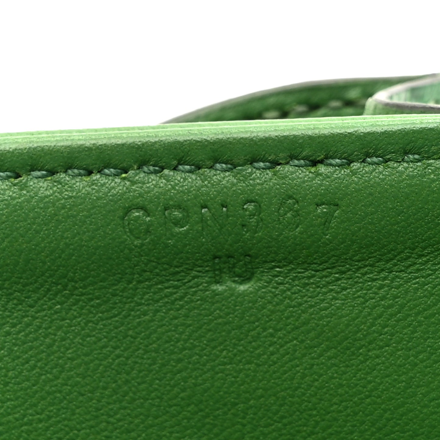 Shiny Alligator Constance 18 Cactus