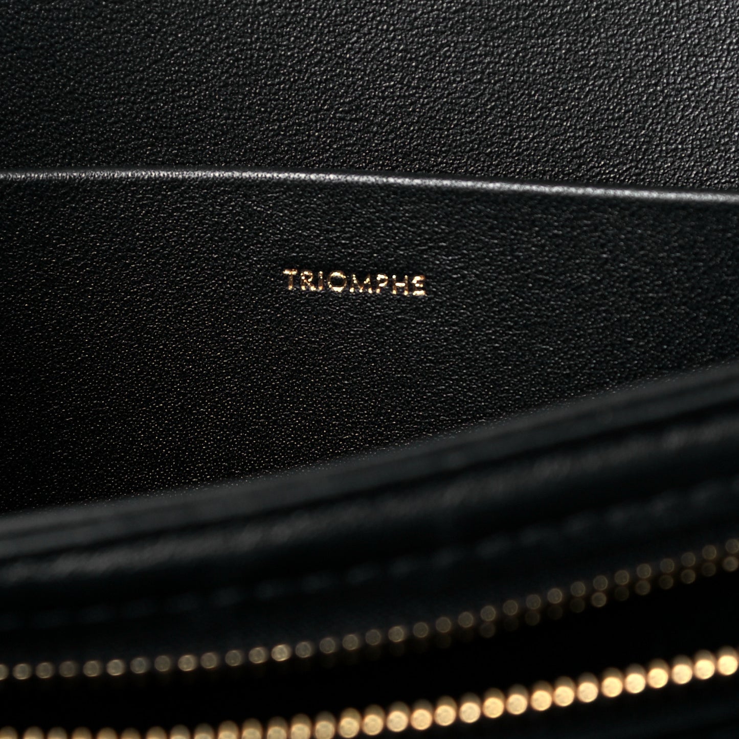 Shiny Calfskin Medium Triomphe Black