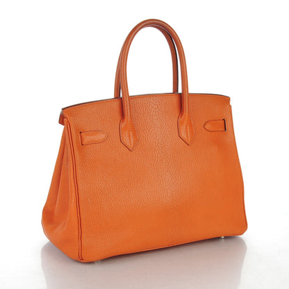 Hermes Chevre de Coromandel Birkin 30 Potiron 3 of 28