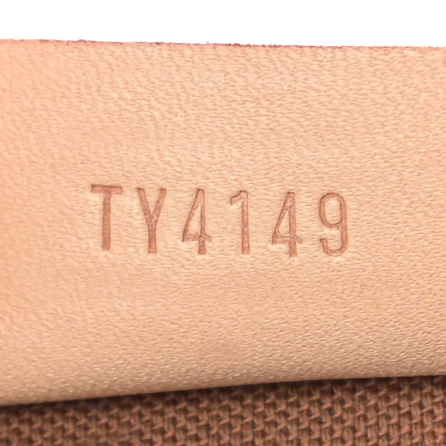Monogram Nano Speedy