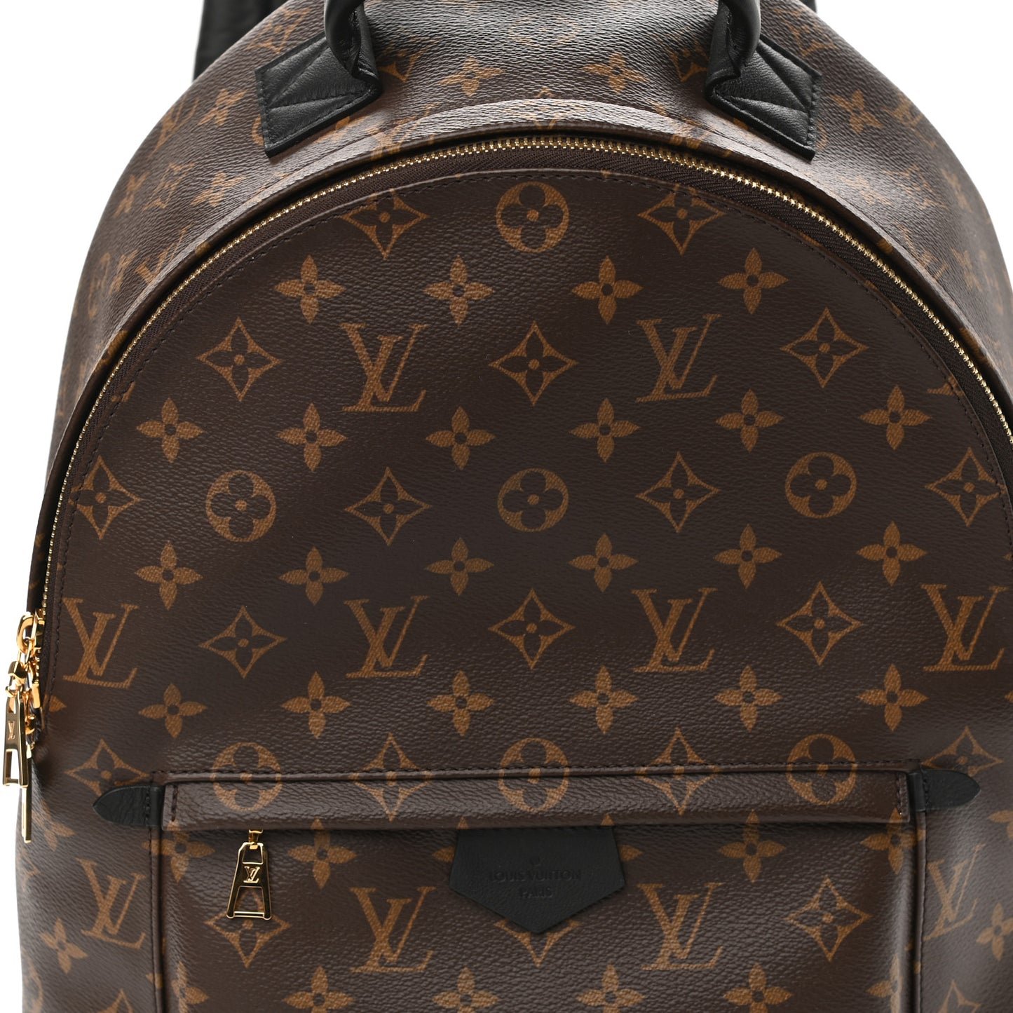 Monogram Palm Springs Backpack MM