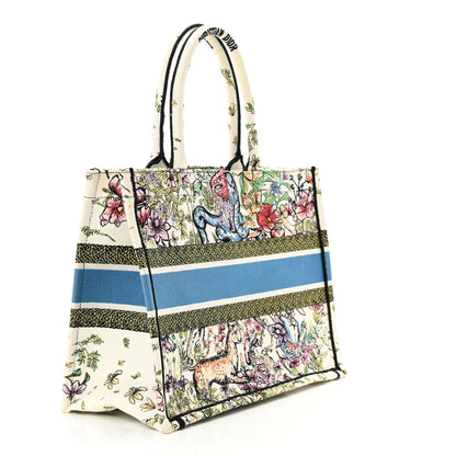 Christian Dior CHRISTIAN DIOR Canvas Embroidered Medium D-Constellation Book Tote Latte Multicolor 3 of 11