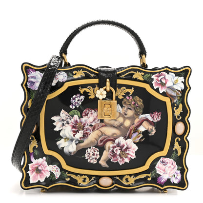 Dolce & Gabbana Plexiglass Snakeskin Cherub Box Bag Black Gold 2 of 29