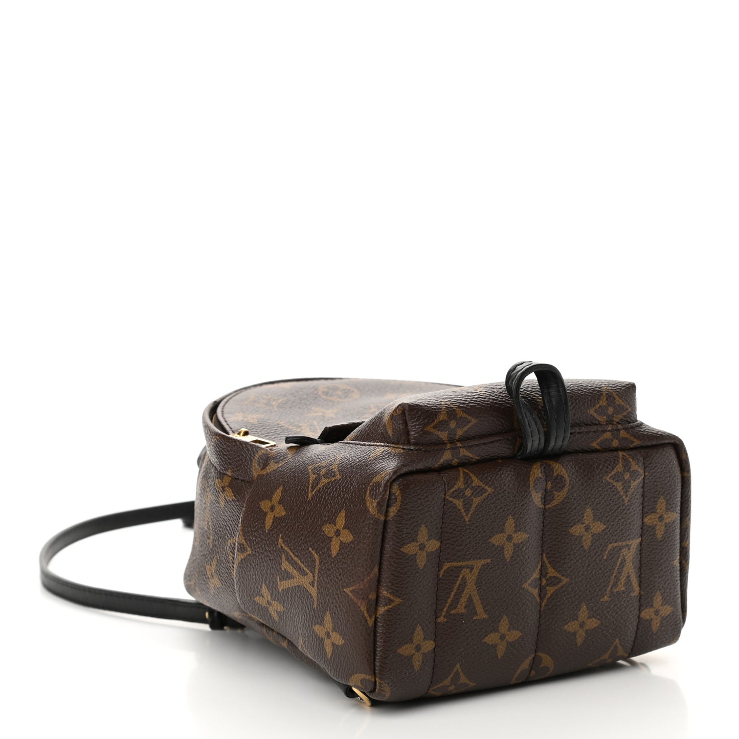 Monogram Palm Springs Backpack Mini